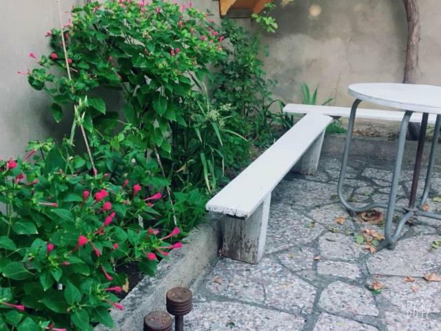 Family Guesthouse - Macharashvili Τυφλίδα Εξωτερικό φωτογραφία